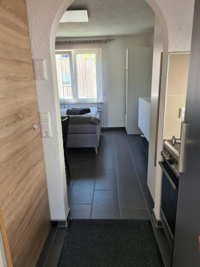 Apartment Am See Фридрихсхафен Екстериор снимка